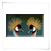 Kraniche 1