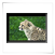 Gepard