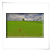 Feld