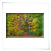 Herbst 3